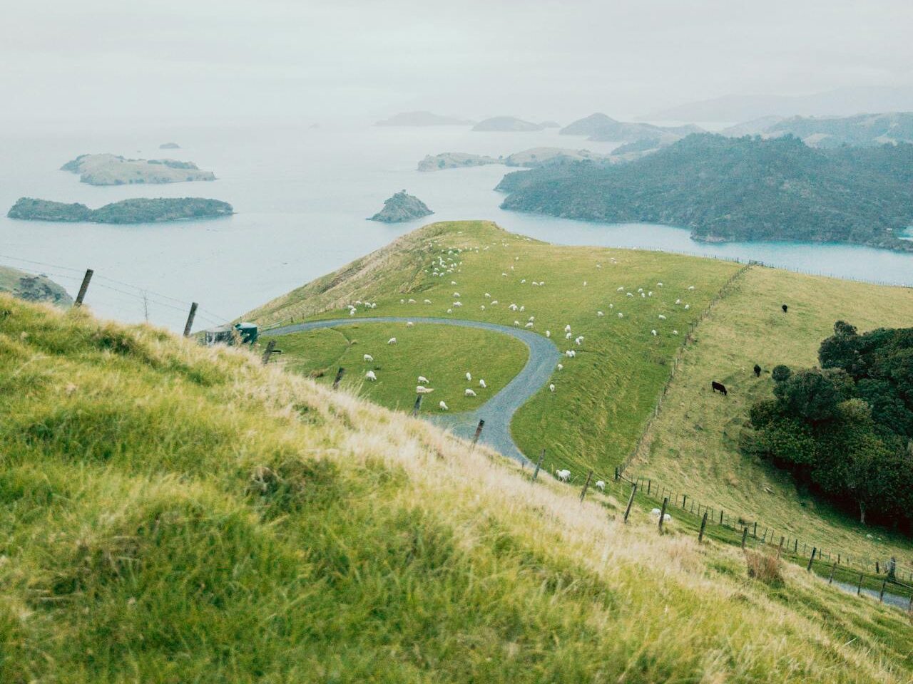 Nouvelle-Zélande